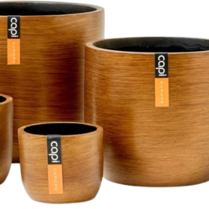 BOITE MIXTE BRTG-4 - CAP