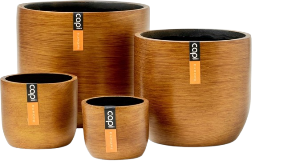 BOITE MIXTE BRTG-4 - CAP