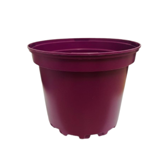 POT ROND PLASTIQUE 2L SX G2 PRUNE B5 - SOP
