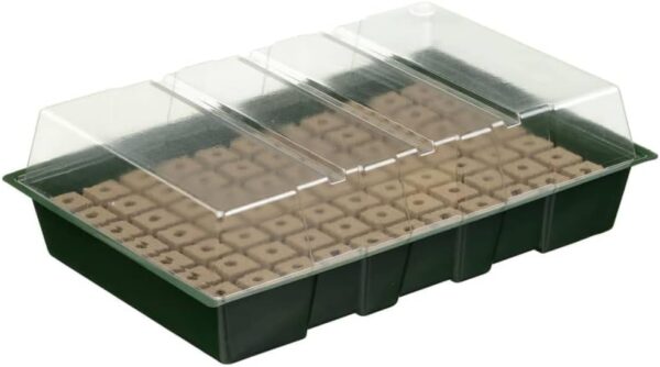 MINI-SERRE CULT H11X35X23.5CM
