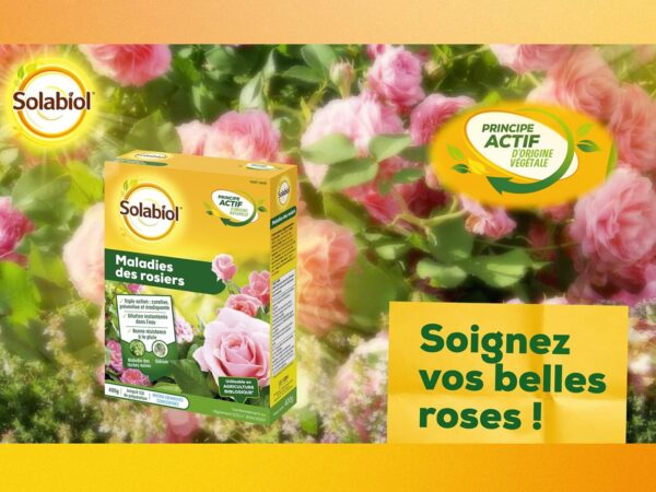 MALADIE ROSIER 400G - SBM – Image 4