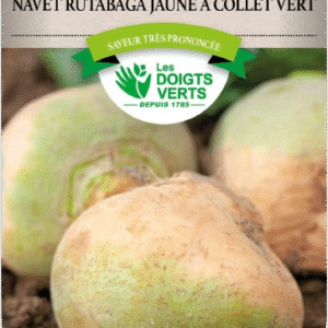 CHOU-NAVET RUTAB A COL VERT - ROS