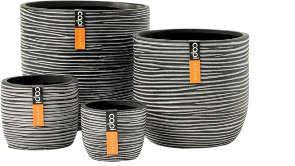 BOITE MIXTE BOFZ-4 - CAP
