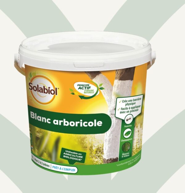 BLANC ARBORICOLE 3L SEAU - SBM
