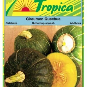 GIRAUMON 2G PIMPKIN QUECHUA - JDN - 3427870140068