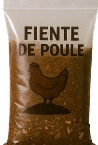 FIENTE DE POULE