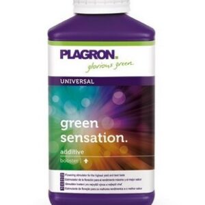 GREEN SENSATION 1L - PLA