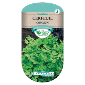 CERFEUIL COMMUN - ROS