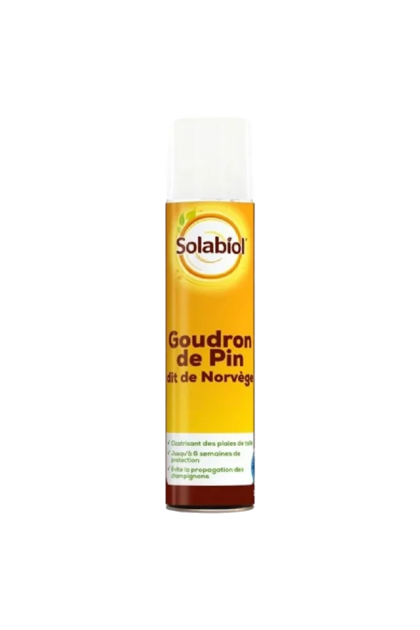 AEROSOL GOUDRON DE PIN 200ML- SBM