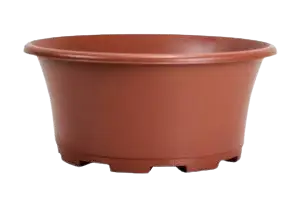 POT COUPE EOLE 23 - 2.6L TERRE CUITE - SOP