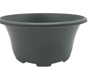 POT COUPE EOLE 23 - 2.6L GRIS WD - SOP