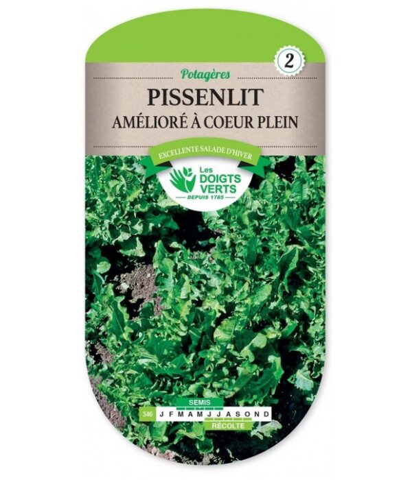 PISSENLIT AMELIORE A COEUR PLEIN - ROS