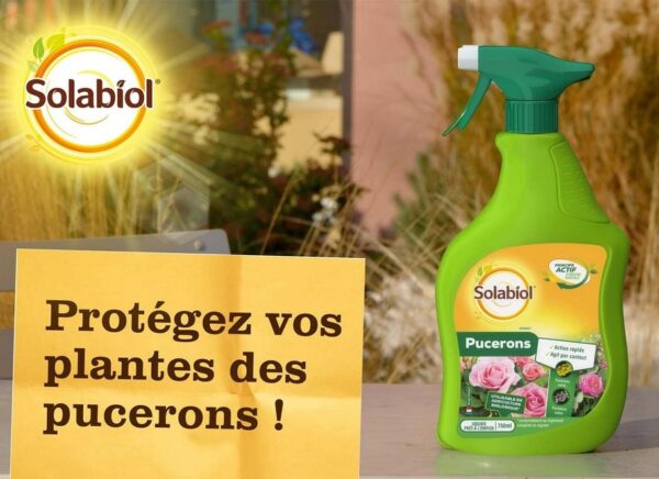 INSECT PUCERONS PAE 750ML - SBM – Image 3