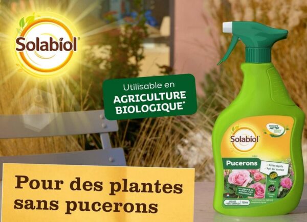 INSECT PUCERONS PAE 750ML - SBM – Image 7