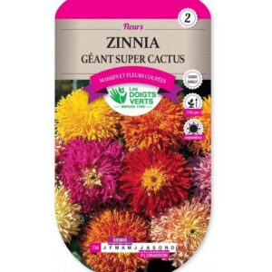 ZINNIA 2G GEANT SUPER CACTUS - ROS