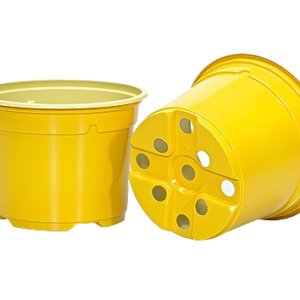 POT DUO BAS OCRE JAUNE 0.48L 10.5CM - SOP