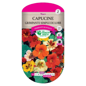 CAPUCINE SIMPLE GRIMP DE LOBB