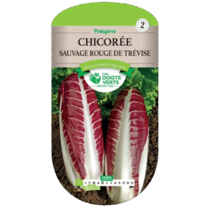 CHICOREE SAUV ROUGE TREVISE - ROS