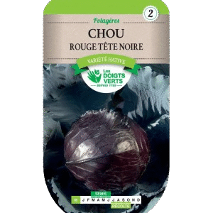 CHOU ROUGE TETE NOIRE 3 - ROS
