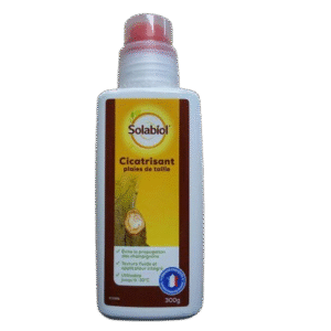 PINCEAU CICATRIS 12X300G BOT - SBM