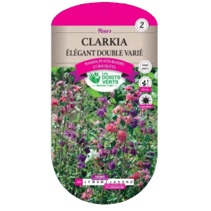 CLARKIA 2G ELEGANT DBLE VARIEE - ROS