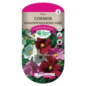 COSMOS 2G SENSATION NAIN ROYAL