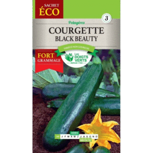 COURGETTE BLACK BEAUTY ECO