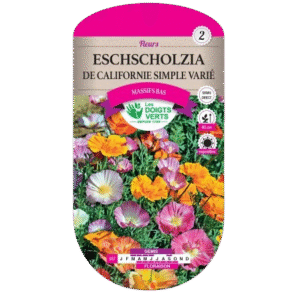 ESCHSCHOLTZIA CALIFORNIE SIMPLE