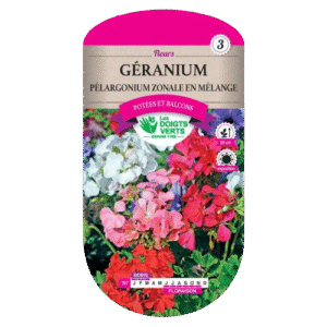 GERANIUM PELARGONIUM ZONALE MEL