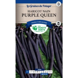 HARICOT NAIN PURPLE QUEEN 50G - ROS