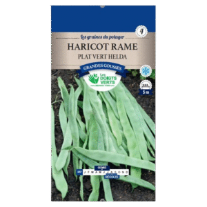 HARICOT RAME PLAT VERT HELDA - ROS