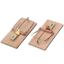TAPETTE A SOURIS BOIS LOT 2PCS - NAT