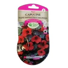 CAPUCINE 5G NAINE IMPERATRICE INDES - ROS