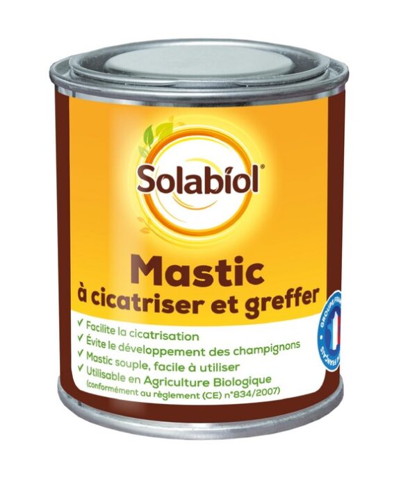 MASTIC CICATRIS 150G - SBM