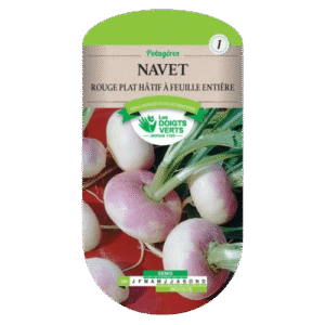 NAVET ROUGE PLAT HATIF FEUIL ENT - ROS