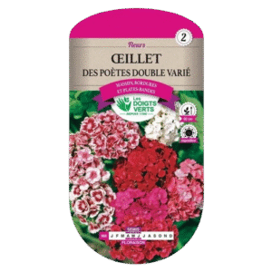 OEILLET DES POETES DBLE VARIE - ROS