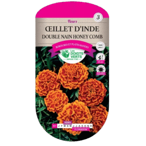 OEILLET INDE DBLE NAIN HONEY COMB