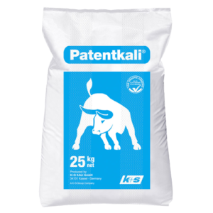 PATENTKALI 25KG