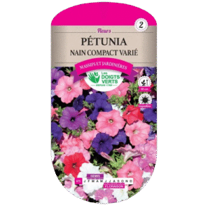 PETUNIA NAIN COMPACT VARIE