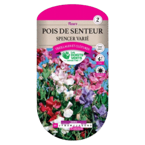POIS SENTEUR SPENCER VARIE