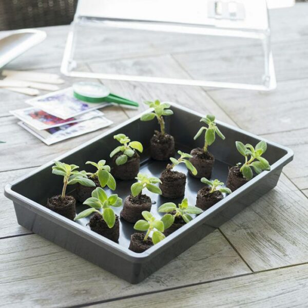 TERRINE SEMIS H6X37.5X24CM GRIS ANTRA - NAT