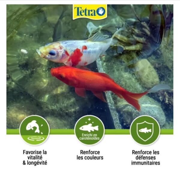 FISH TETRA POND STICK 10L – Image 3