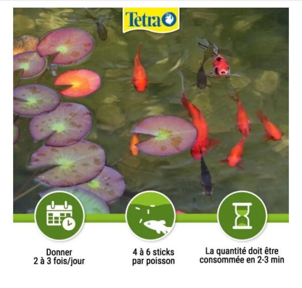 FISH TETRA POND STICK 10L – Image 5