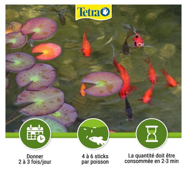 FISH TETRA 4L POND STICKS – Image 5