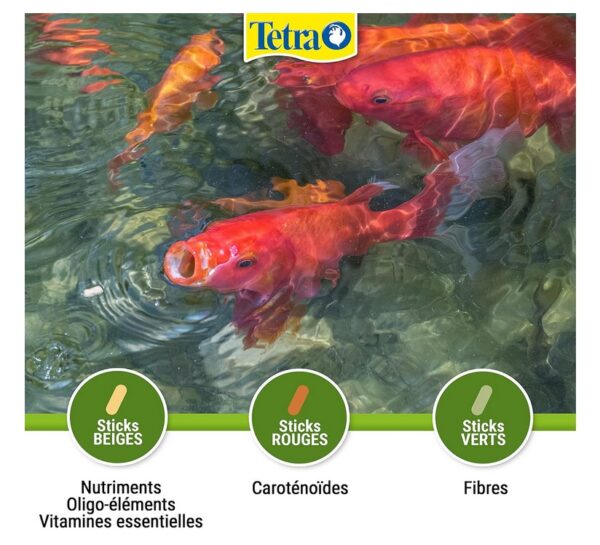 FISH TETRA POND VARIETY STICKS 10L – Image 4