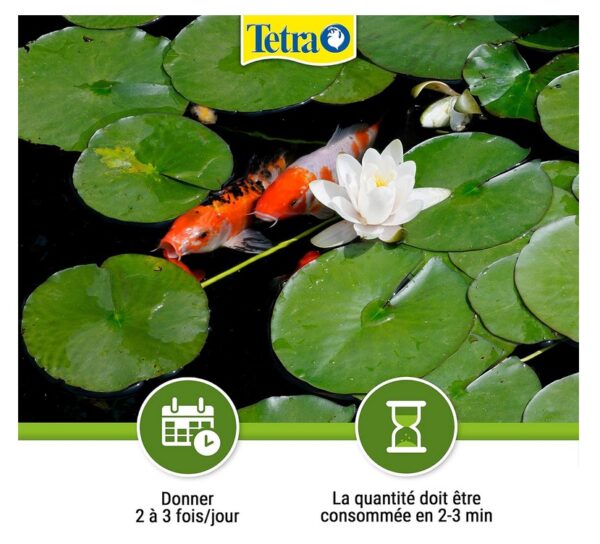 FISH TETRA POND VARIETY STICKS 10L – Image 2