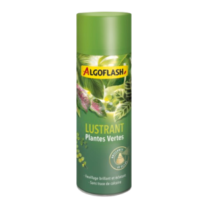 LUSTRANT 250ML PLANTE VERTE - ALG