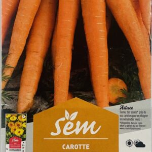 CAROTTE 2G GEANTE DE TILQUES - SNR