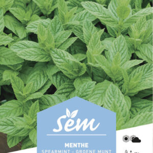 MENTHE 0.3G VERTE - SNR