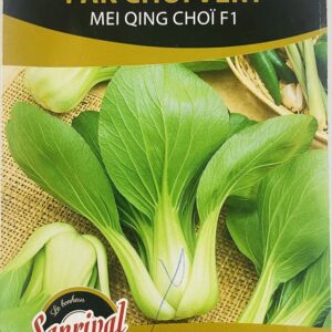 CHOU PAK CHOÏ F1 VERT 120GN PREM